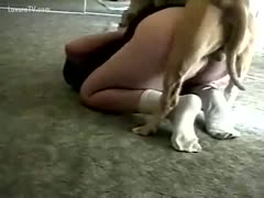 Come doggy and take up with the tongue my slit